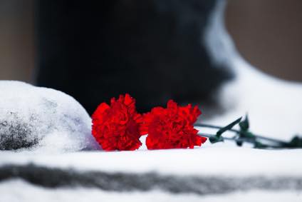 60352433_2096393740653509_563946591992414208_n