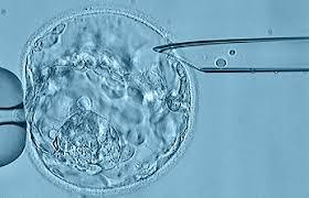 67376820_2148084672151082_687949251379986432_n