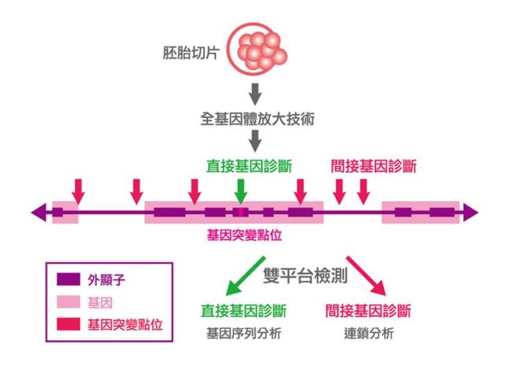 67403335_2148084735484409_3652410660618240000_n