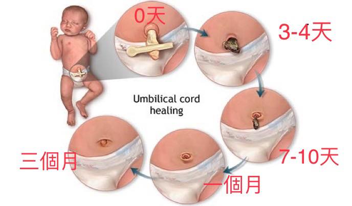 67519074_2149031772056372_8797542277317656576_n