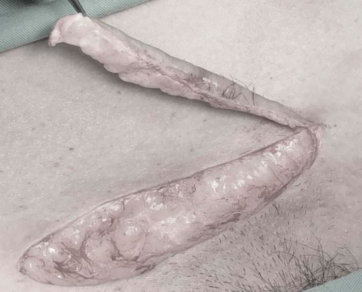 67808148_2151685925124290_3740152130896396288_n