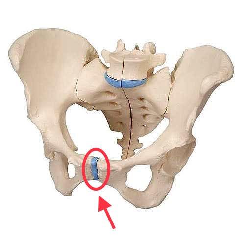 68531666_2156025301357019_5897625554999312384_n